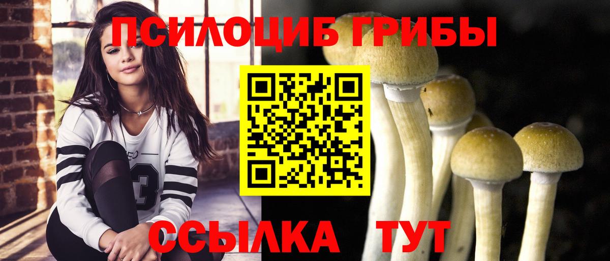 Галлюциногенные грибы Psilocybine cubensis Ипатово